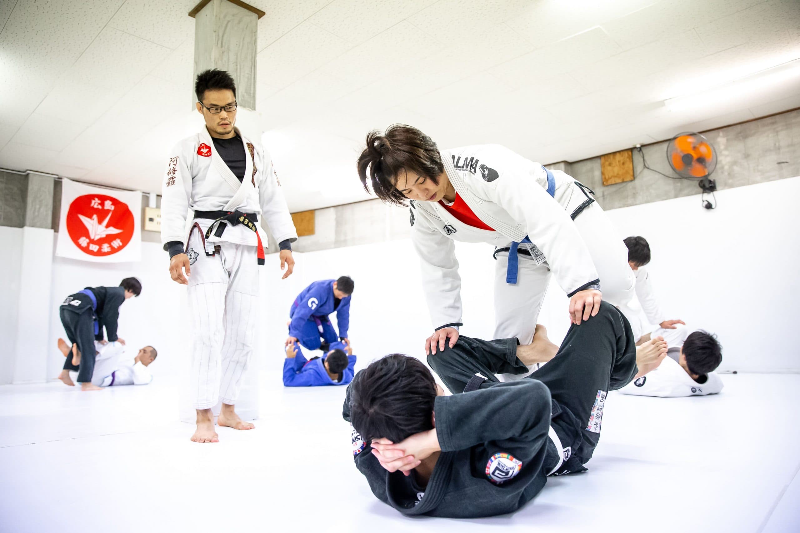 Main image of 藤田柔術