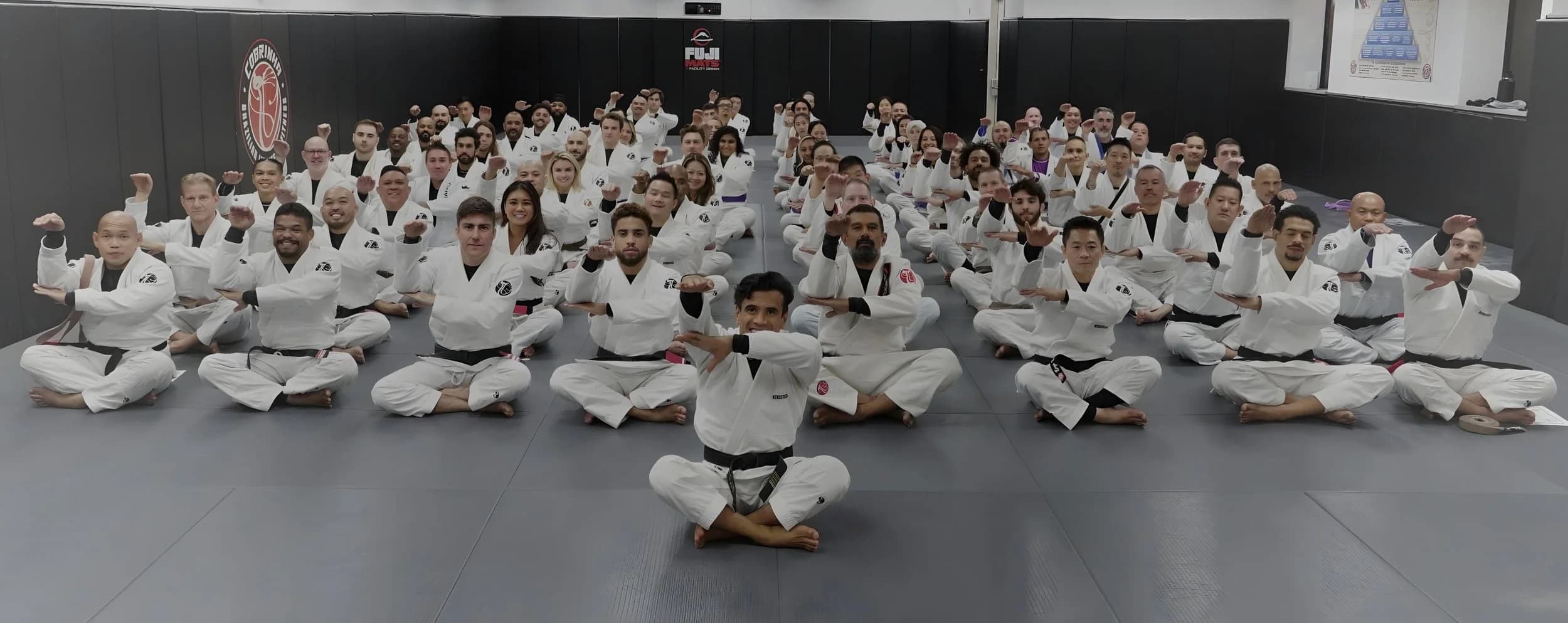 Main image of Cobrinha BJJ & Fitness