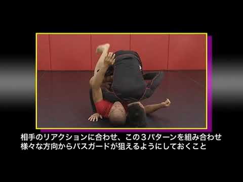 Shinya Aoki - Guard Passing 3