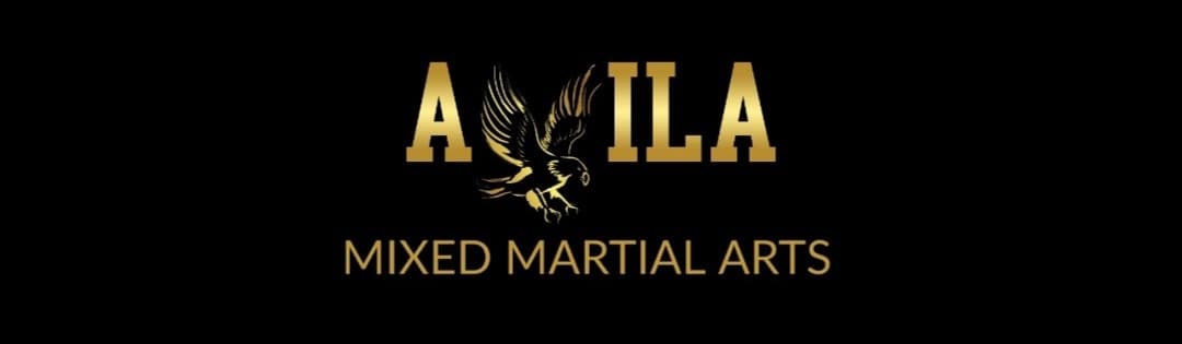 Exterior or interior of Avila Mixed Martial Arts