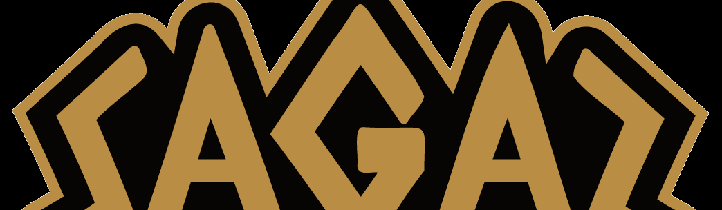 Exterior or interior of Sagaz Jiu-Jitsu