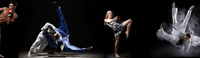 Exterior or interior of jiu jitsu academy