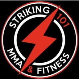 101 Striking logo