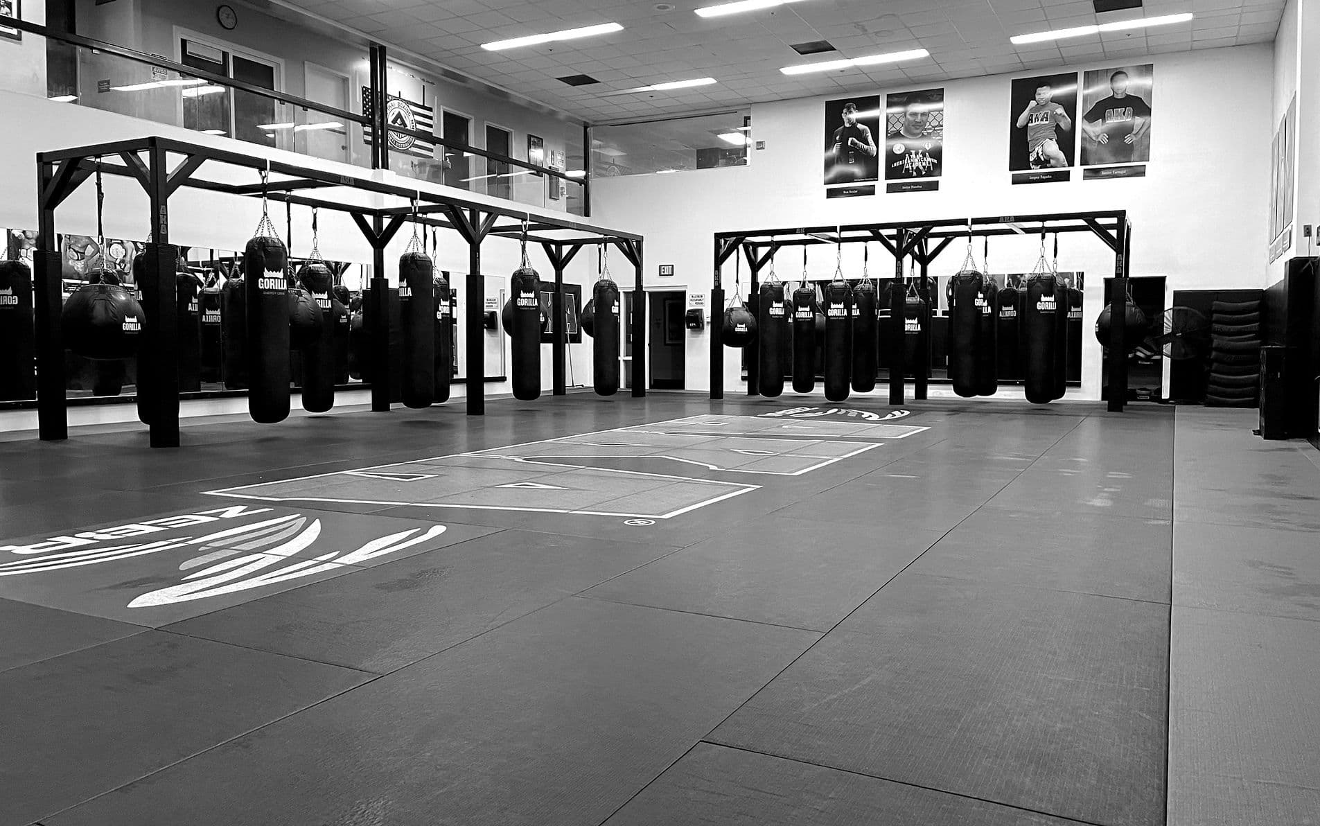 Main image of American Kickboxing Academy (AKA)