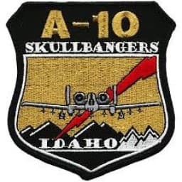 124 skull bangers logo