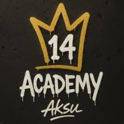 14 Academy BJJ logo