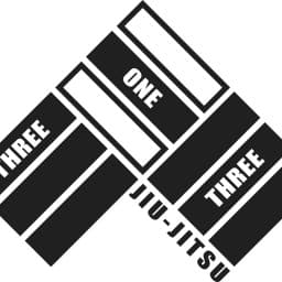 313 Brazilian Jiu Jitsu logo