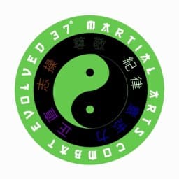 37° Martial Arts logo