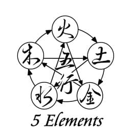 5 Elements Combat Academy logo