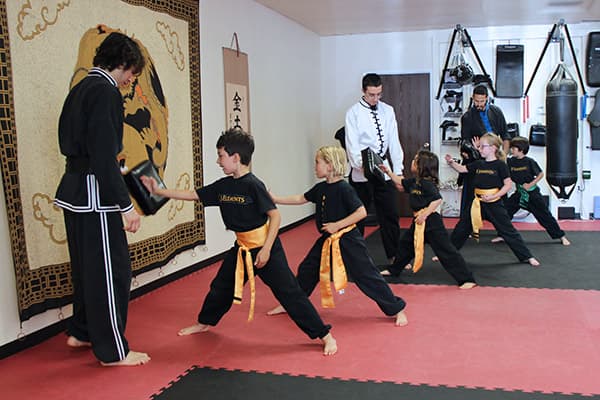 Main image of 5 Elements Martial Arts & Wellness Center