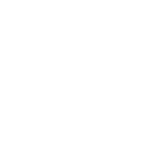8 Limbs Muay Thai Martial Arts Academy logo