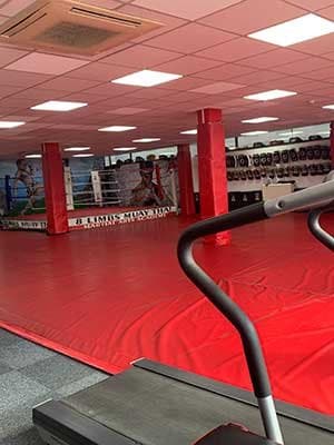 Main image of 8 Limbs Muay Thai Martial Arts Academy