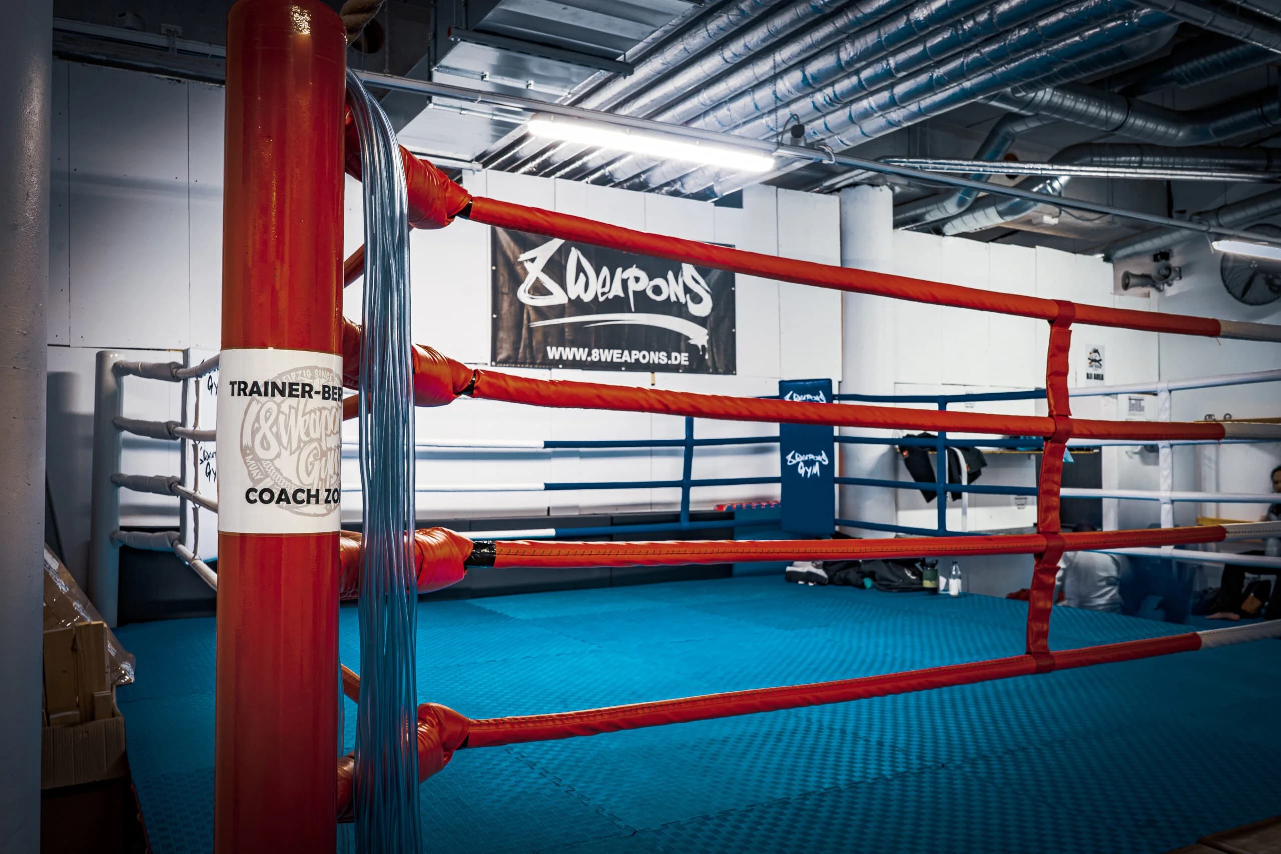 8 Weapons Gym Leipzig e.V. logo
