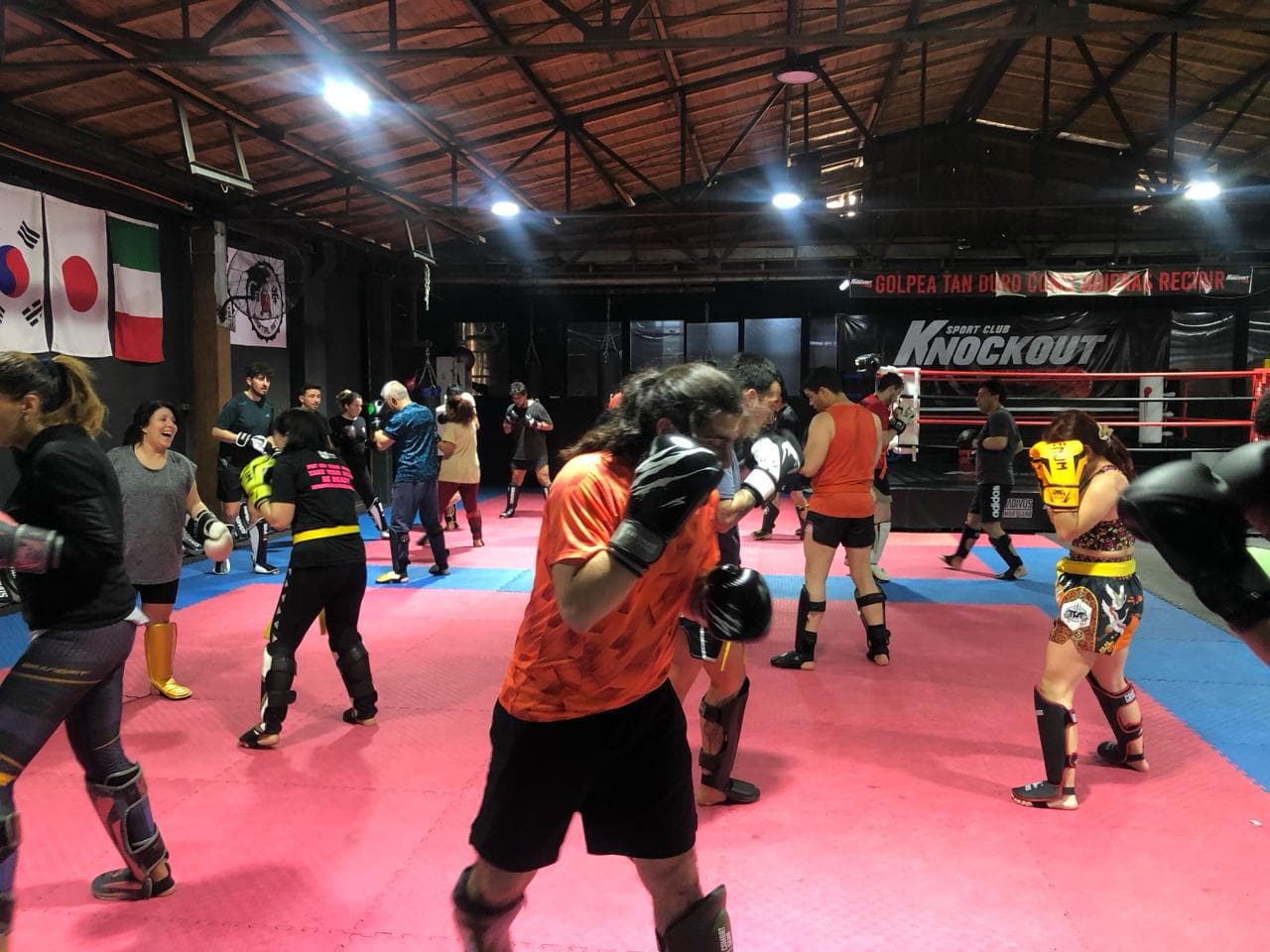 Main image of Knockout Sport