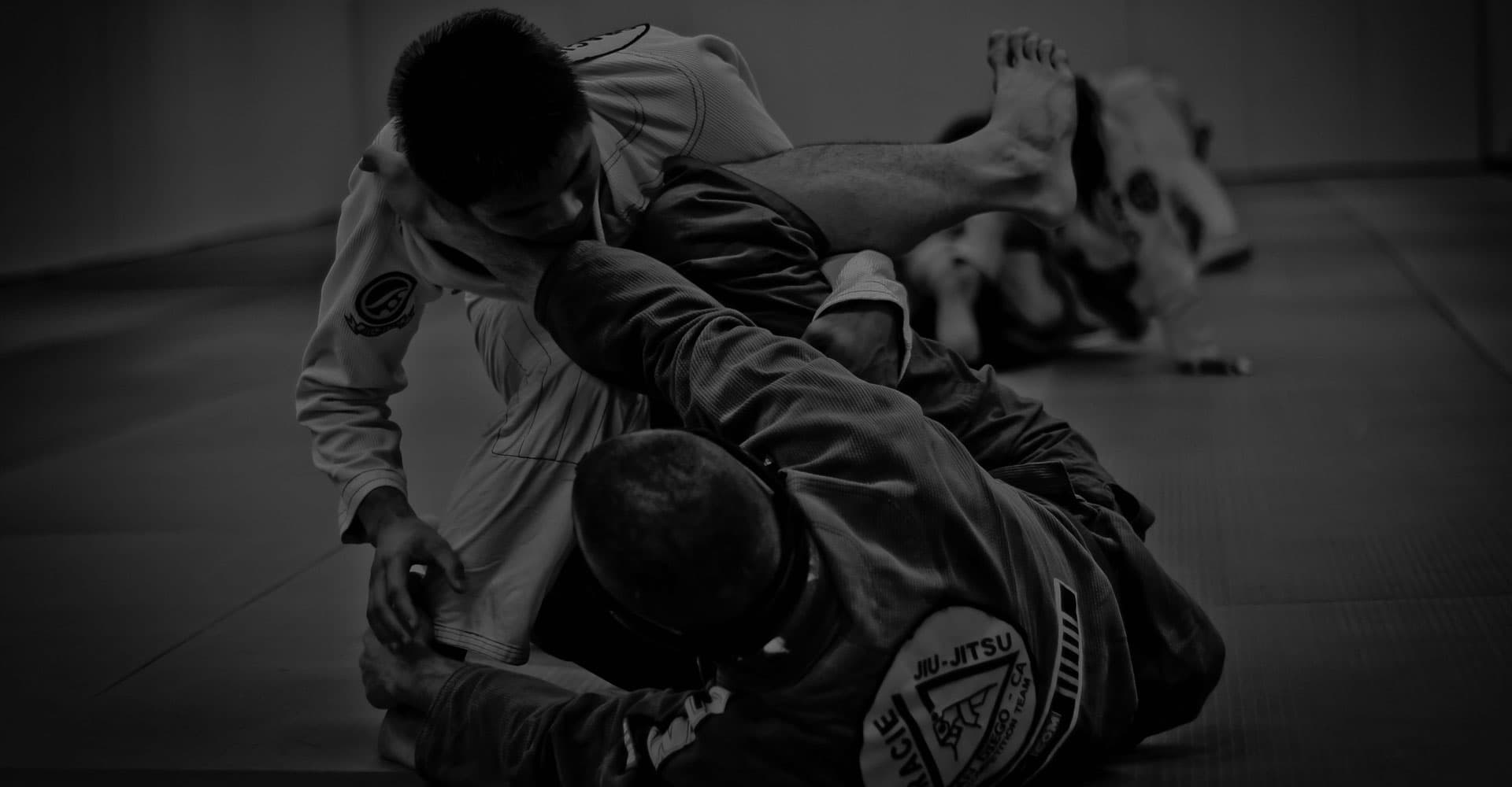 Main image of Evolution MMA