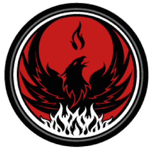 Rise Mixed Martial Arts logo