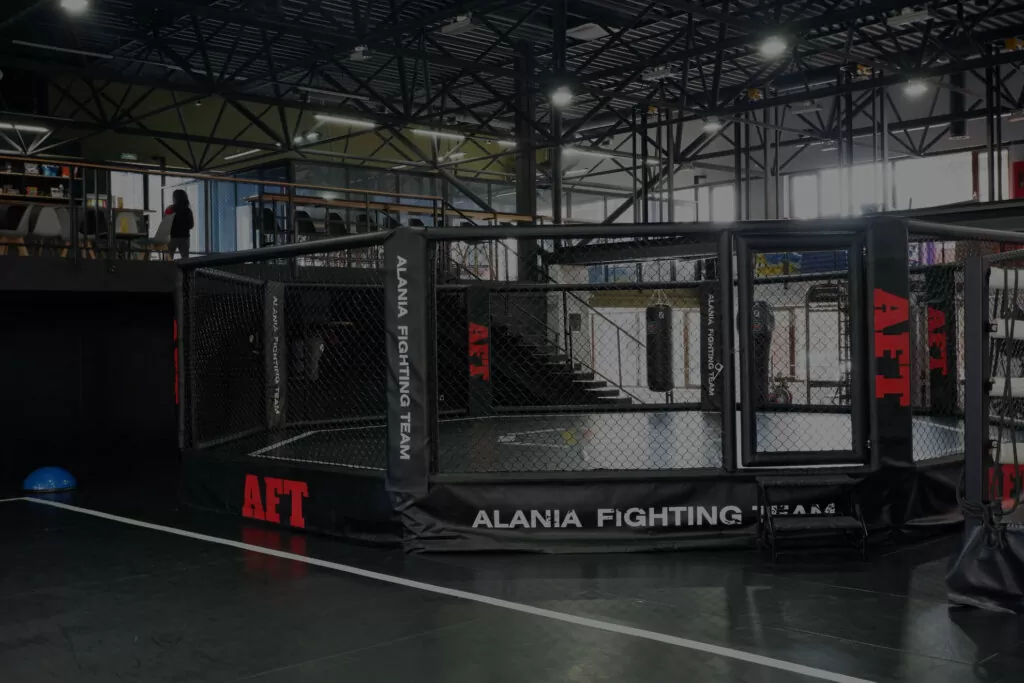 Alania Fighting Team logo