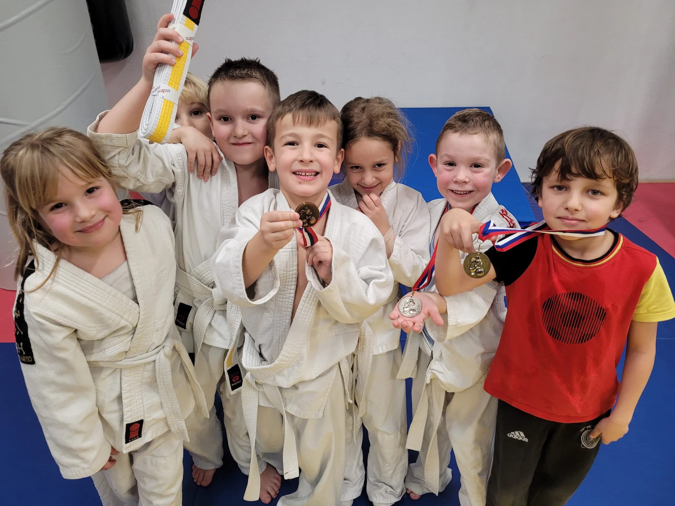 Main image of Judo klub Sokol Ljubljana