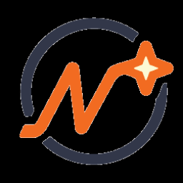 North Star MMA logo