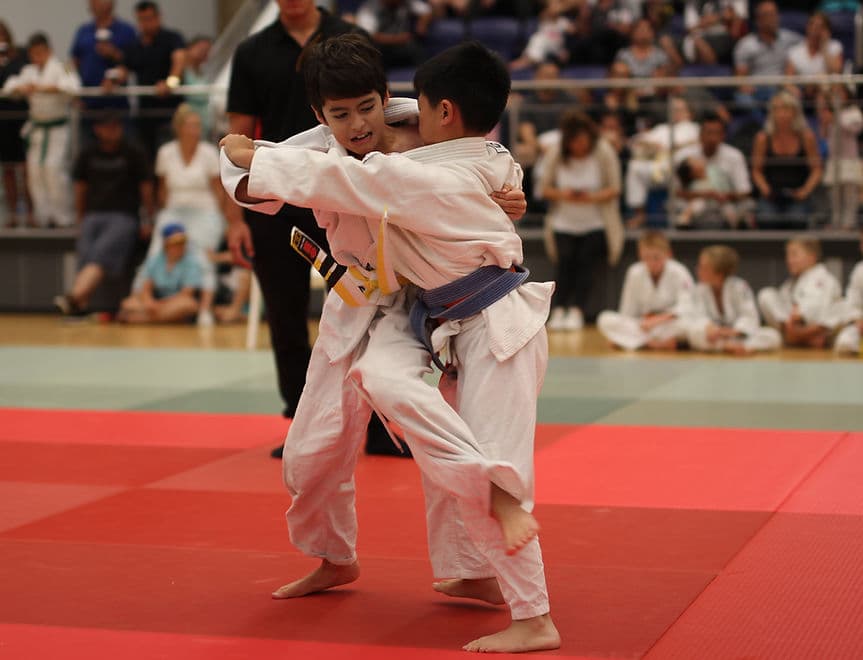 Main image of Australian Institute of Judo
