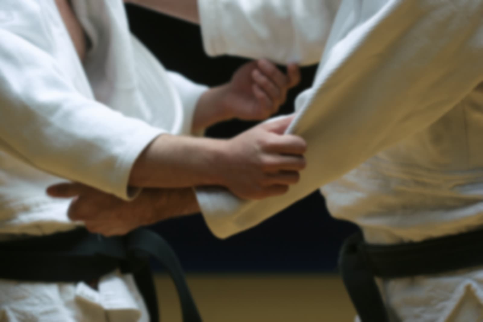 Main image of Artes Marciales Asistidas - A.M.A.