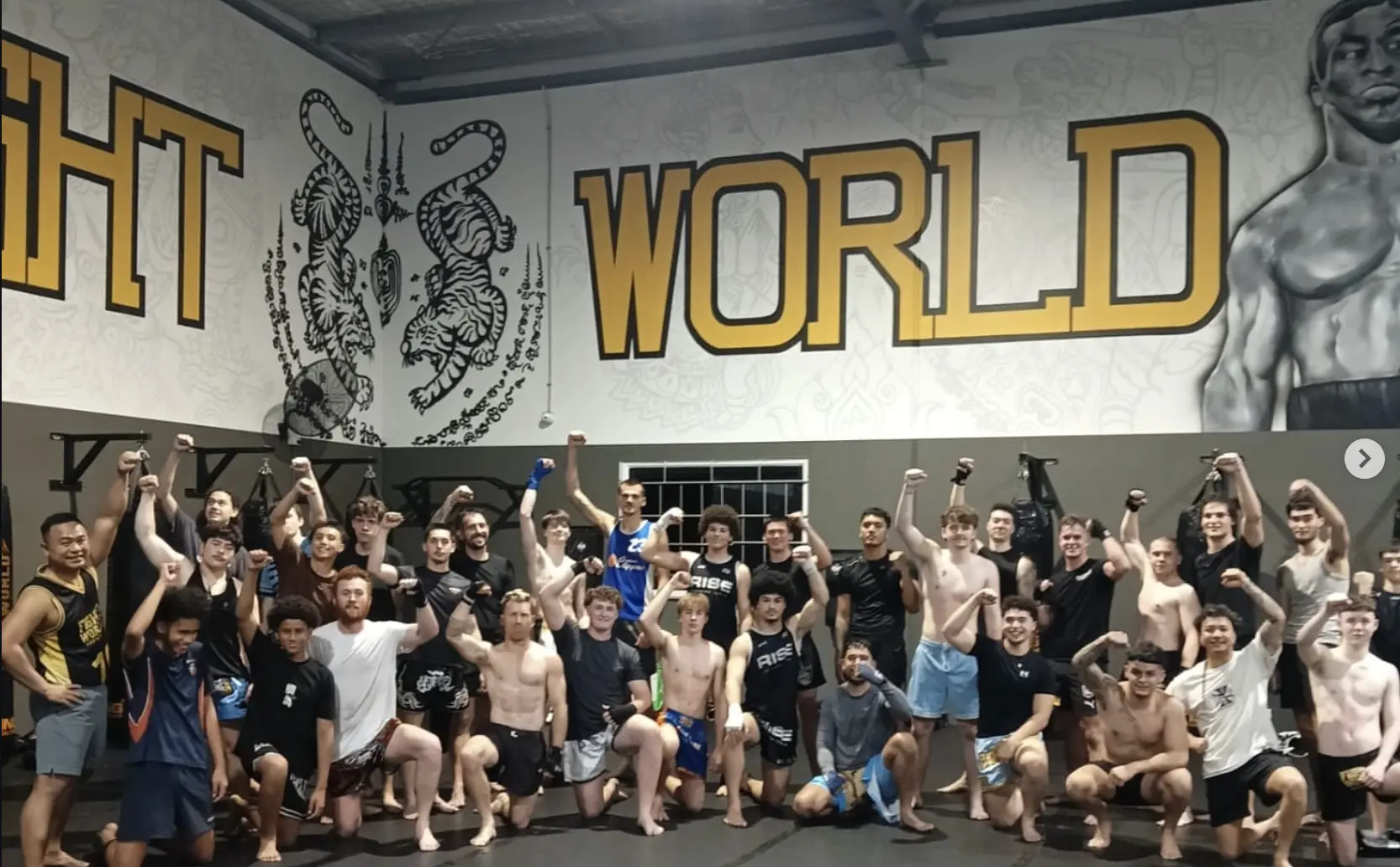 Main image of Fight World Australia