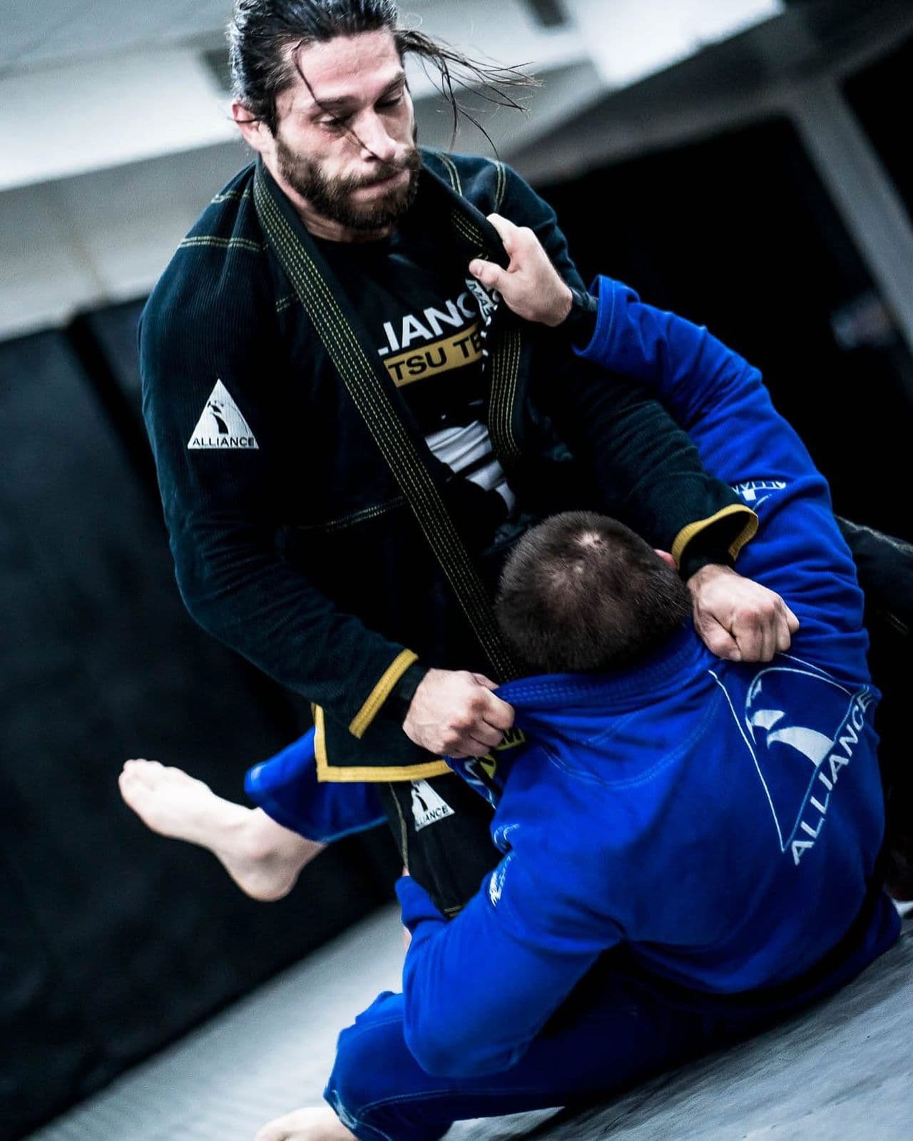 Alliance JiuJitsu | Concepción logo