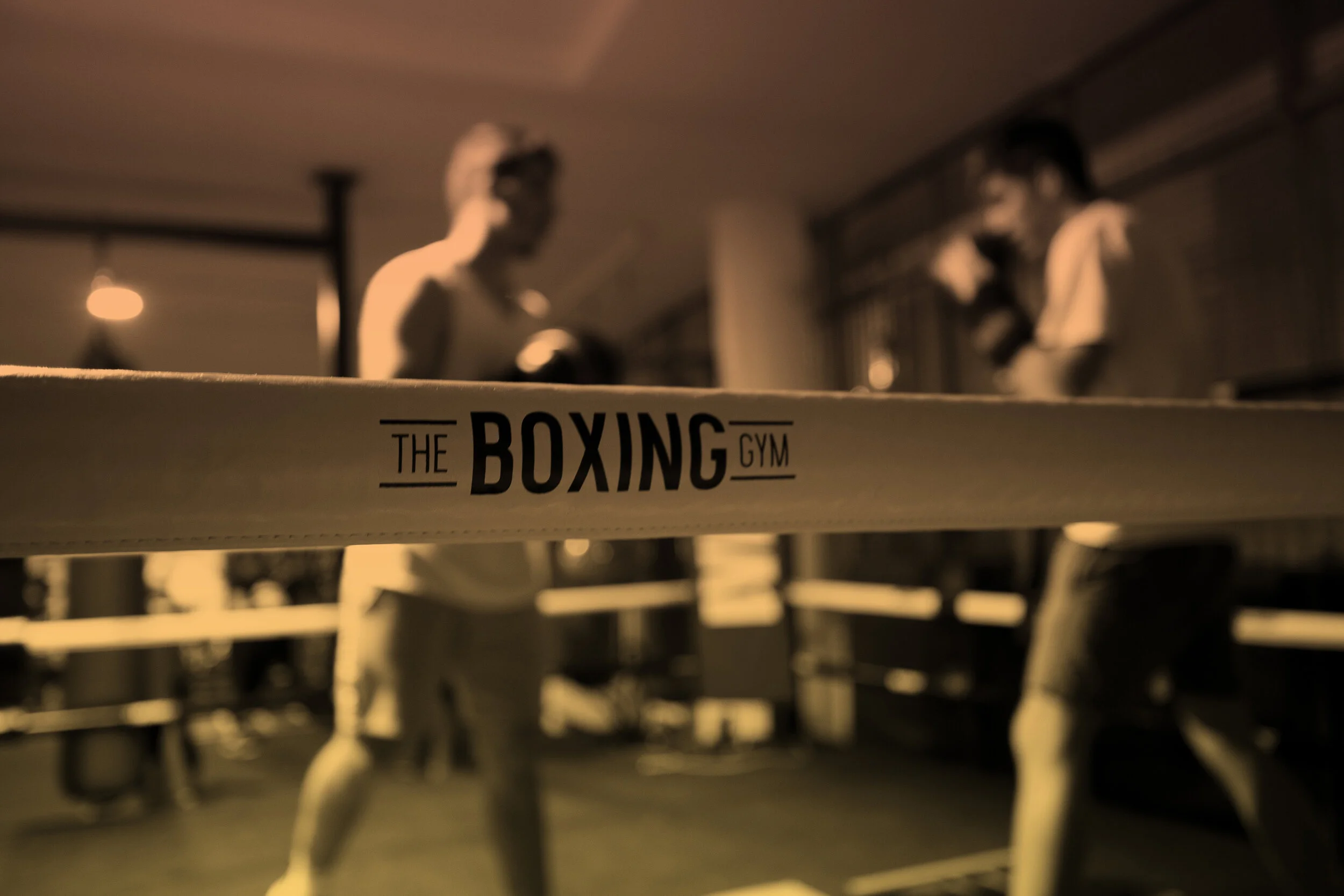 Main image of The Boxing Gym