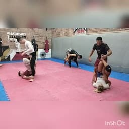 Jiu Jitsu Brasileño NU - Alfa Team logo