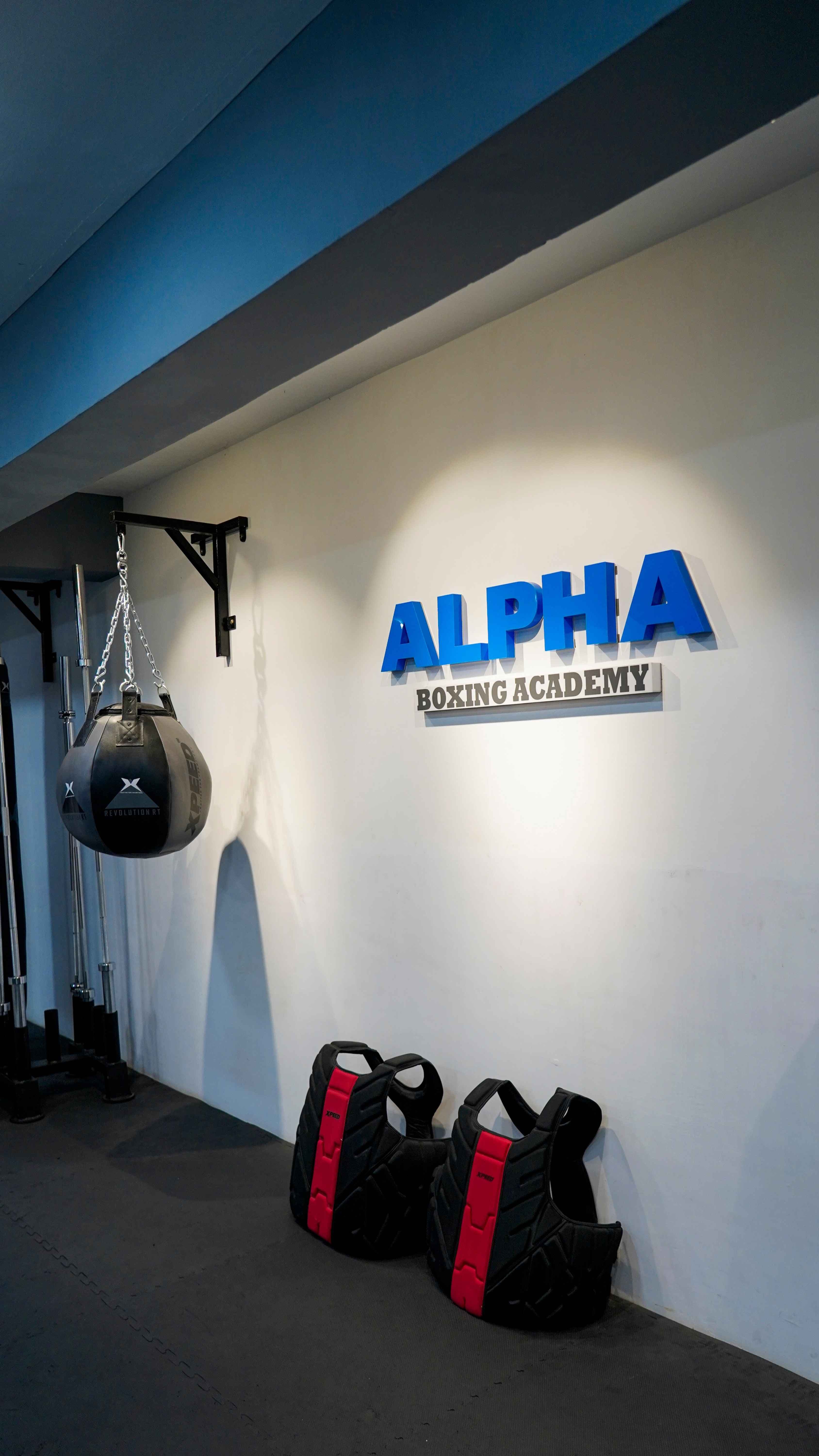 Main image of Alpha Boxing Academy