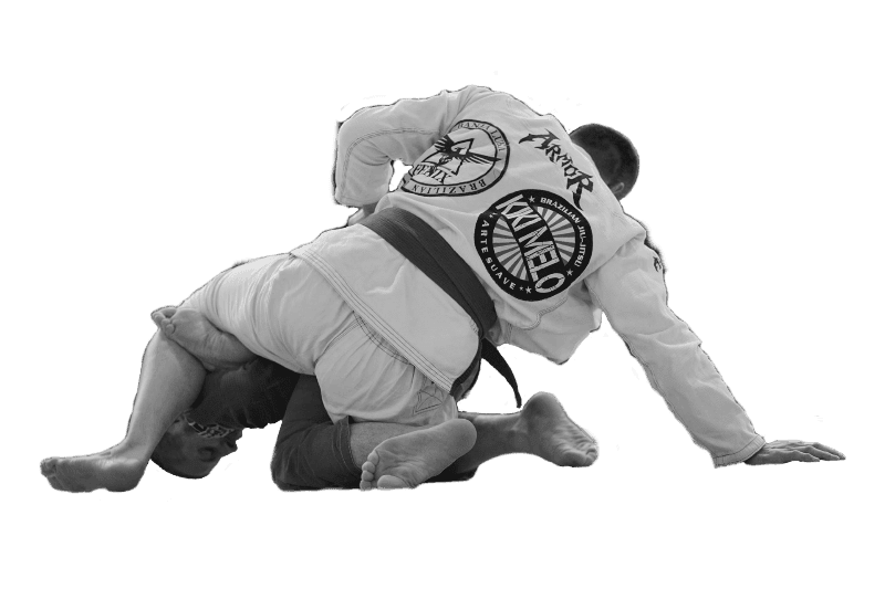 Fenix BJJ Academy - Brazilian Jiu Jitsu Novi Sad logo