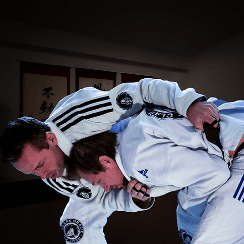 Main image of Gracie Allegiance Norway