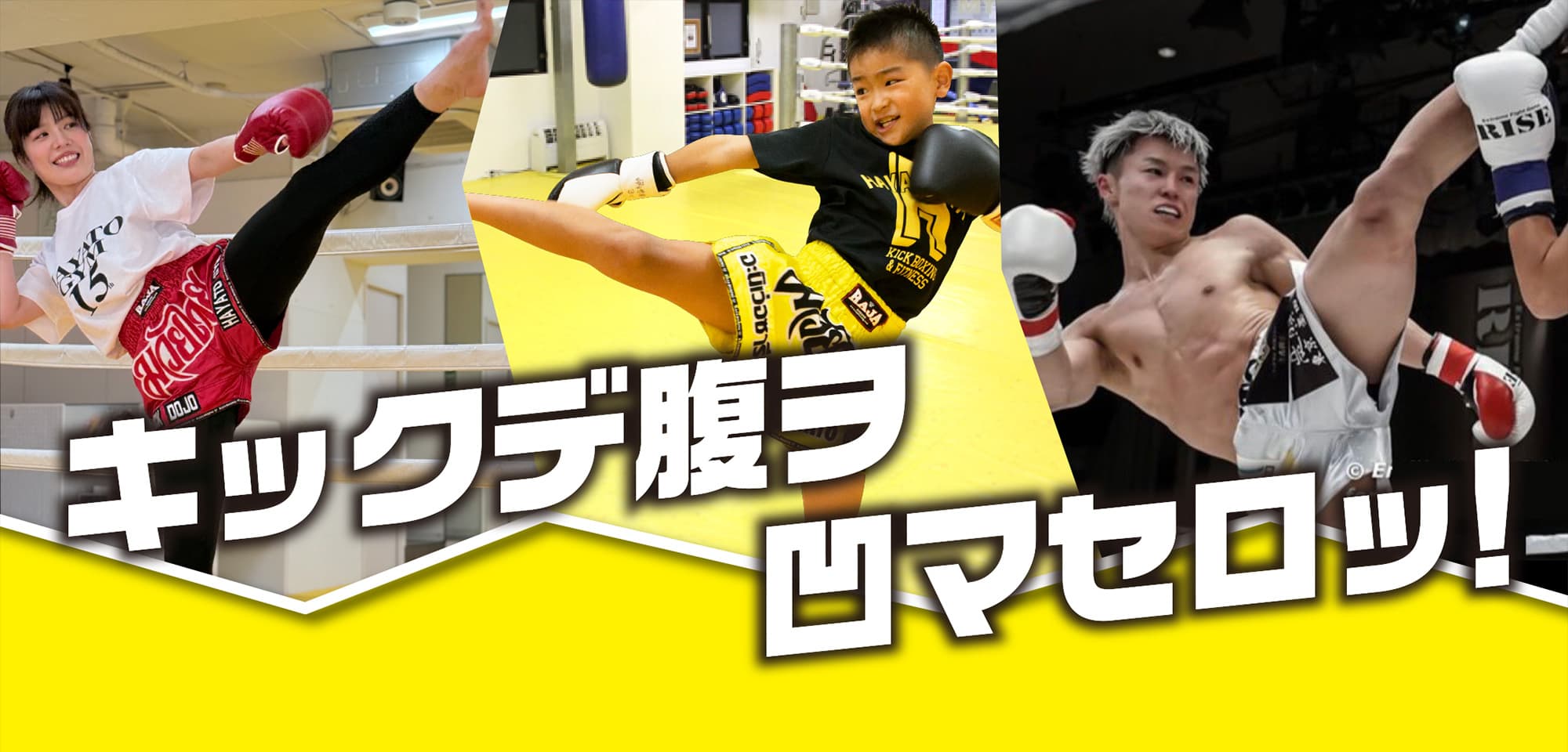 HAYATO GYM logo