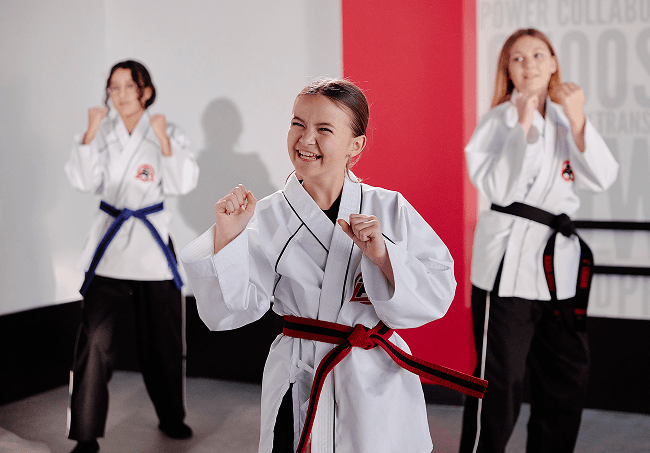 Main image of Tiger-Rock Martial Arts Academy