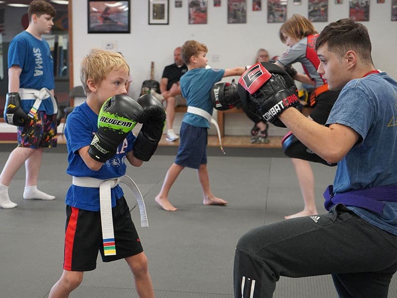 Main image of Shaolin Mixed Martial Arts