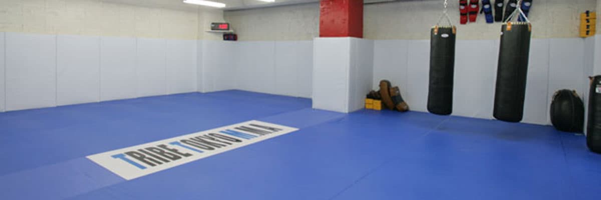 Main image of TRIBE TOKYO MMA