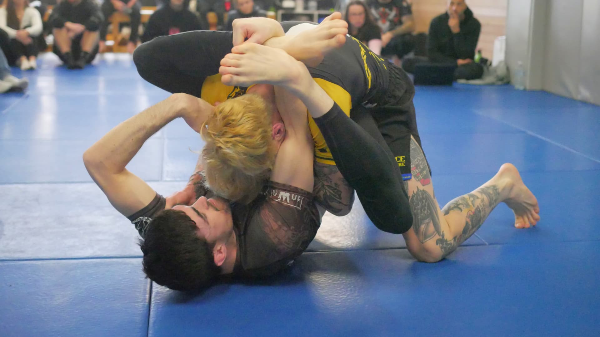 10th Planet Jiu Jitsu South Melbourne logo