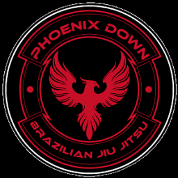 Phoenix Down Brazilian Jiu Jitsu logo