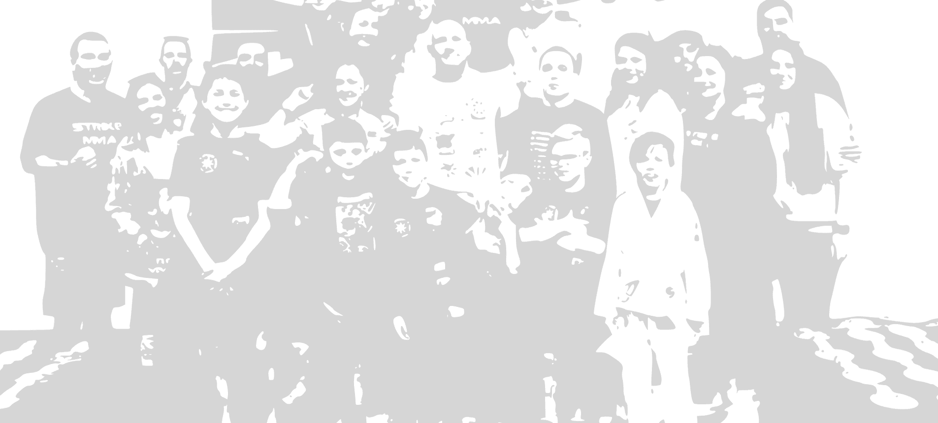 Main image of MMA Fight Lab