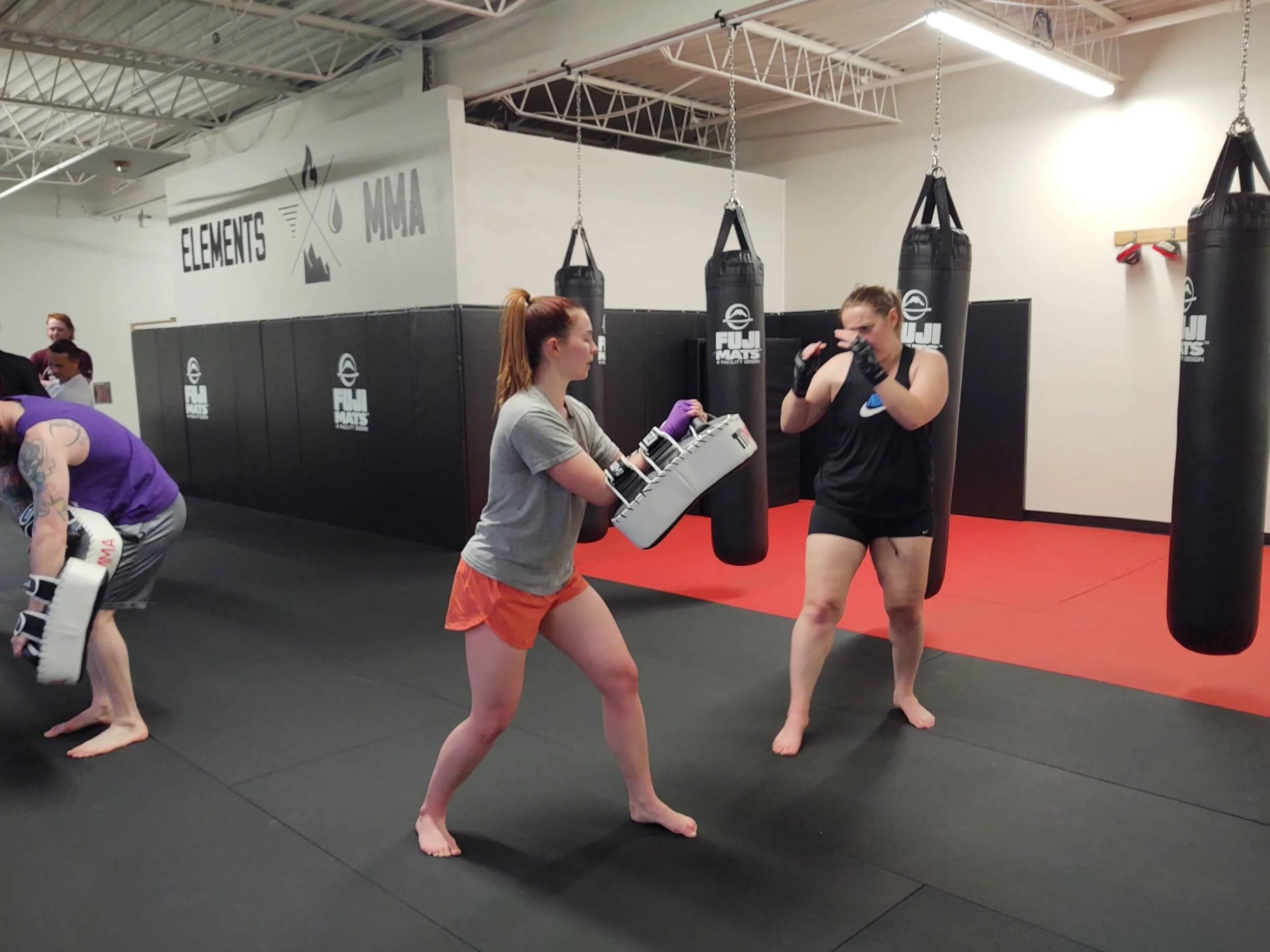 Main image of Elements MMA