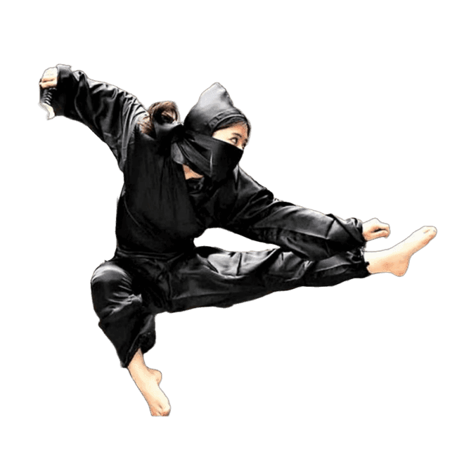Main image of I.S Academy ninja Martial Arts