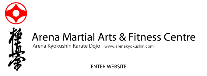 Main image of Arena Martial Arts & Fitness Centre
