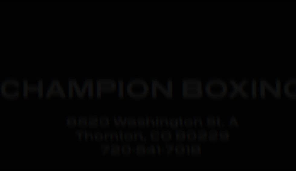 Main image of Champion Boxing