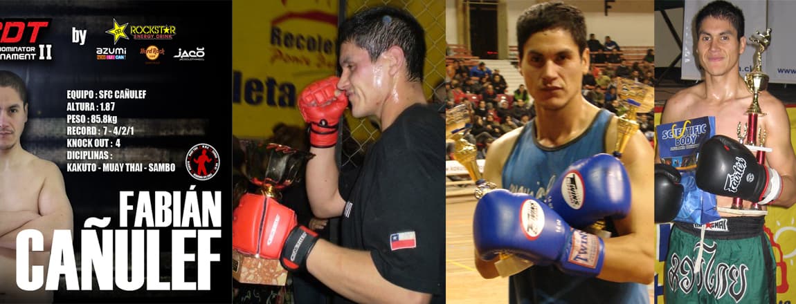 Main image of Academia SFC Chile - MMA, Muay thai, Nogi, Defensa