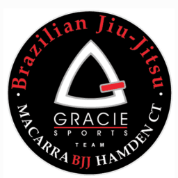 Soulcraft Martial Arts logo