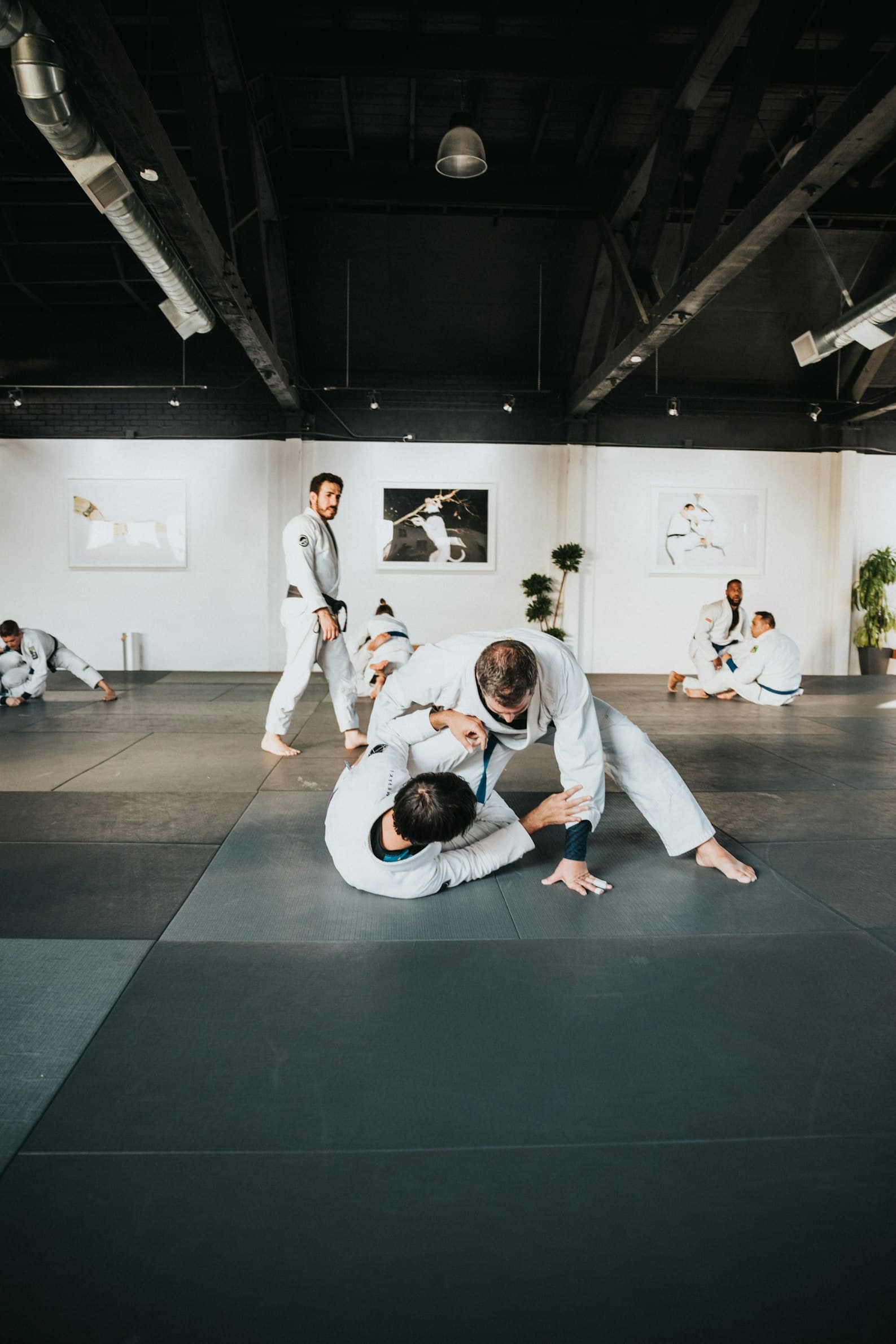 Ronin Judo Kraków logo