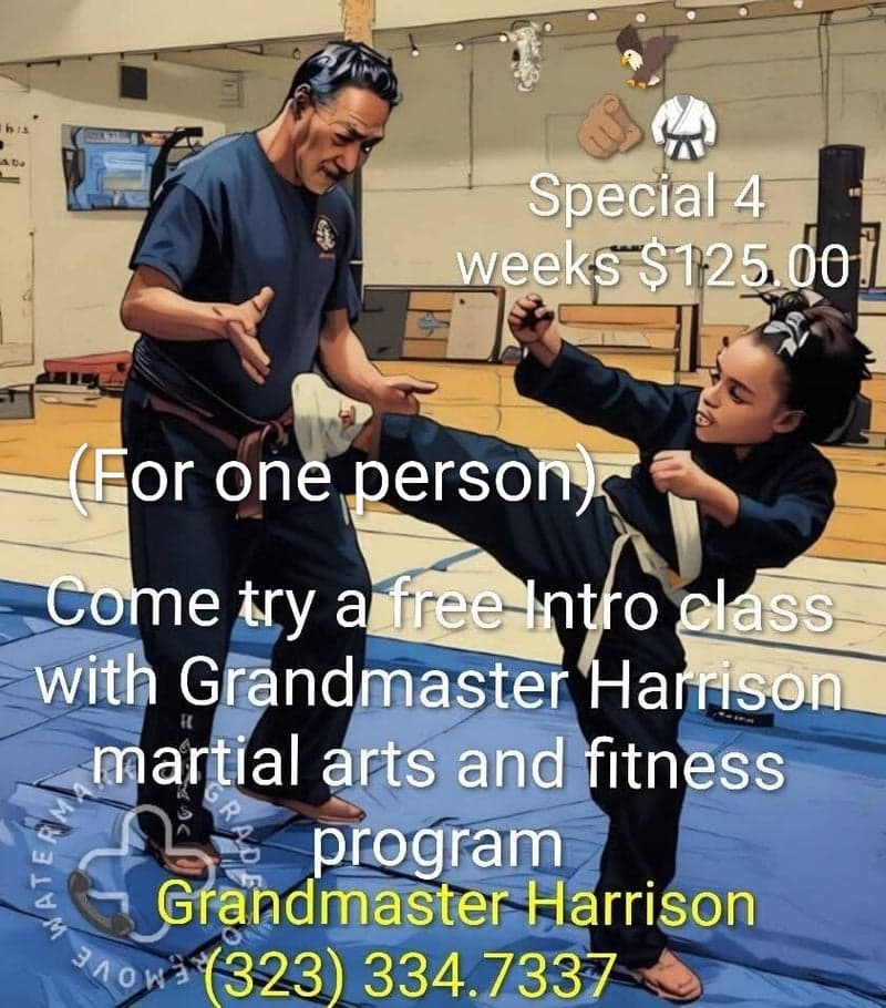 H. HapKiDo Mission Systems logo