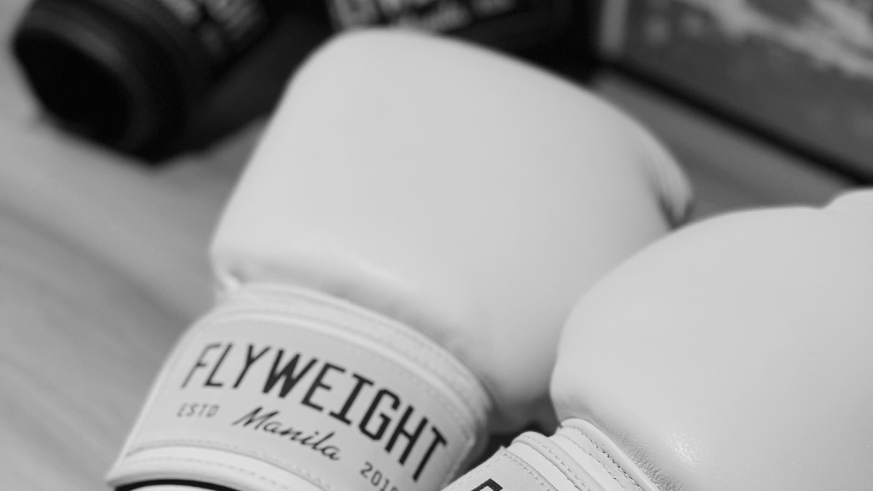 Flyweight Boxing logo
