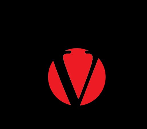 Victorious MMA logo