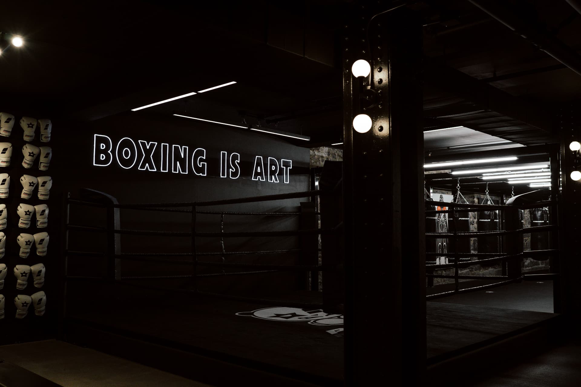 Main image of Panda Boxing